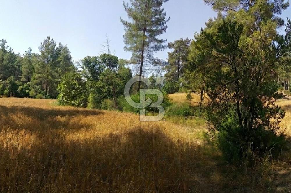 BUCAK ÇAMLIK'TA 7.693 M² MÜSTAKİL TAPULU YATIRIMLIK TARLA