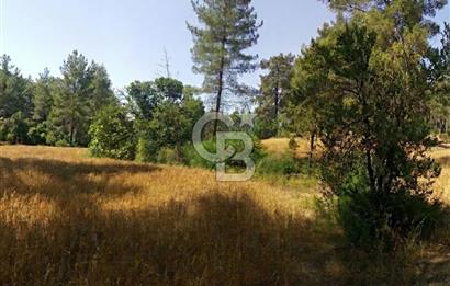 BUCAK ÇAMLIK'TA 7.693 M² MÜSTAKİL TAPULU YATIRIMLIK TARLA
