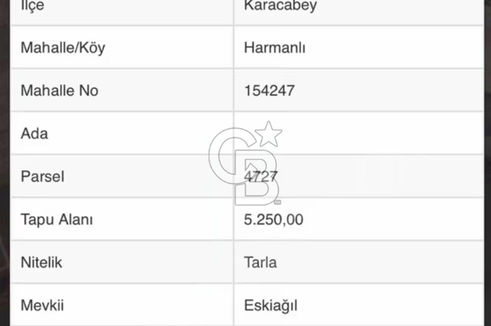 CB BLACK'TAN UYGUN FİYATLI TARLA