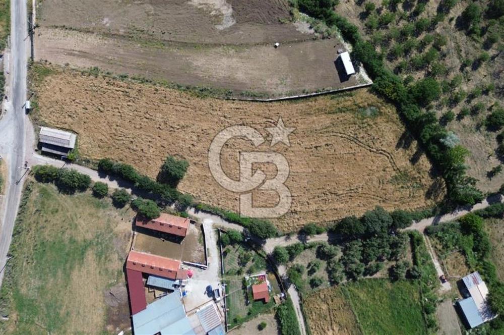 IŞIKLAR KÖYÜ ANAYOLA CEPHE SARI ALANDA SATILIK 8 DÖNÜM TARLA