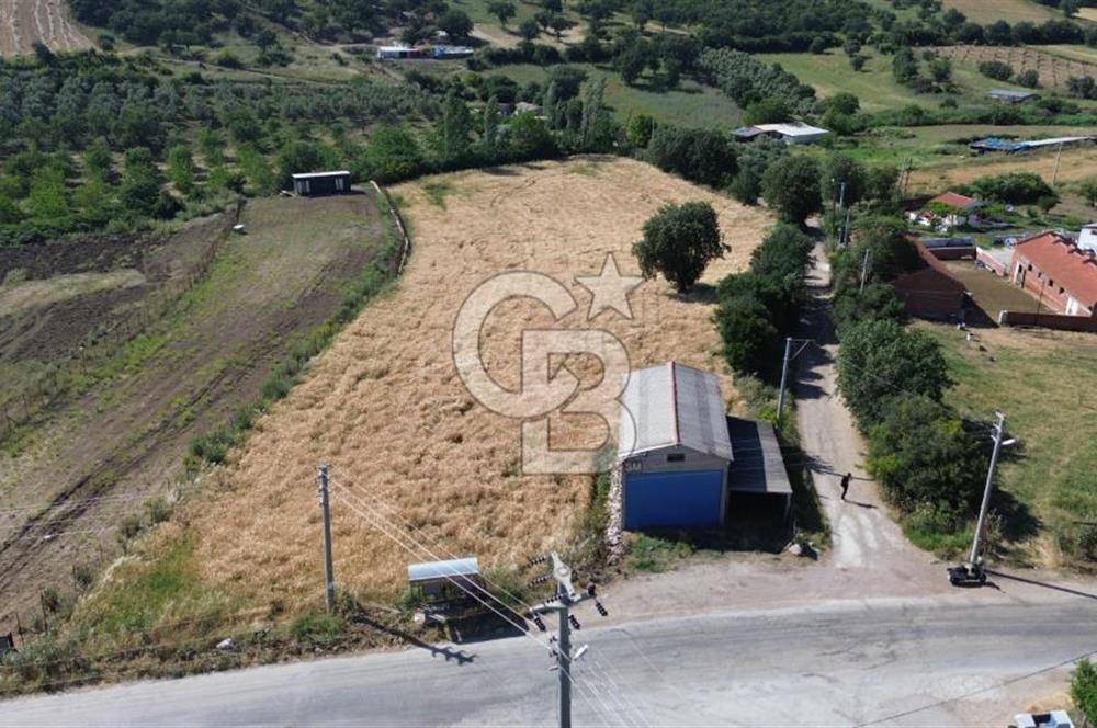 IŞIKLAR KÖYÜ ANAYOLA CEPHE SARI ALANDA SATILIK 8 DÖNÜM TARLA