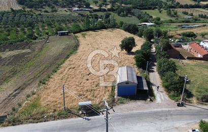 IŞIKLAR KÖYÜ ANAYOLA CEPHE SARI ALANDA SATILIK 8 DÖNÜM TARLA
