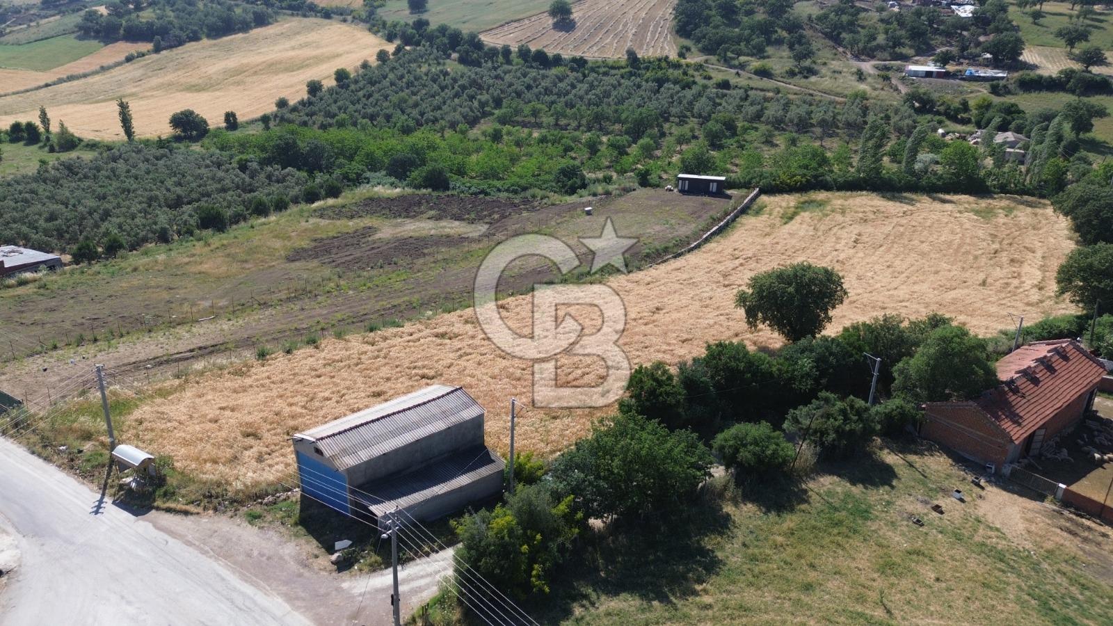 IŞIKLAR KÖYÜ ANAYOLA CEPHE SARI ALANDA SATILIK 8 DÖNÜM TARLA