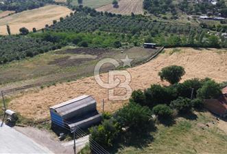 IŞIKLAR KÖYÜ ANAYOLA CEPHE SARI ALANDA SATILIK 8 DÖNÜM TARLA - 5 - 353524