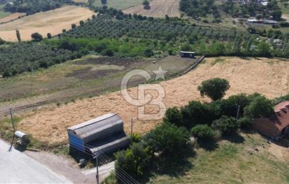 IŞIKLAR KÖYÜ ANAYOLA CEPHE SARI ALANDA SATILIK 8 DÖNÜM TARLA