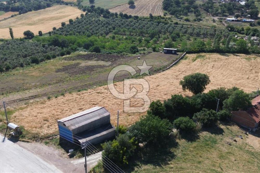 IŞIKLAR KÖYÜ ANAYOLA CEPHE SARI ALANDA SATILIK 8 DÖNÜM TARLA