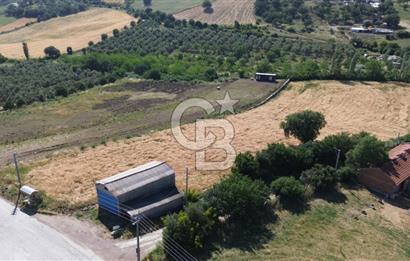 IŞIKLAR KÖYÜ ANAYOLA CEPHE SARI ALANDA SATILIK 8 DÖNÜM TARLA