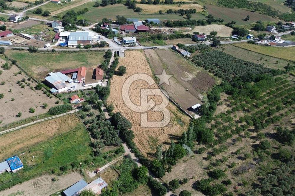 IŞIKLAR KÖYÜ ANAYOLA CEPHE SARI ALANDA SATILIK 8 DÖNÜM TARLA