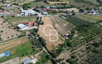 IŞIKLAR KÖYÜ ANAYOLA CEPHE SARI ALANDA SATILIK 8 DÖNÜM TARLA