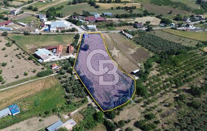 IŞIKLAR KÖYÜ ANAYOLA CEPHE SARI ALANDA SATILIK 8 DÖNÜM TARLA