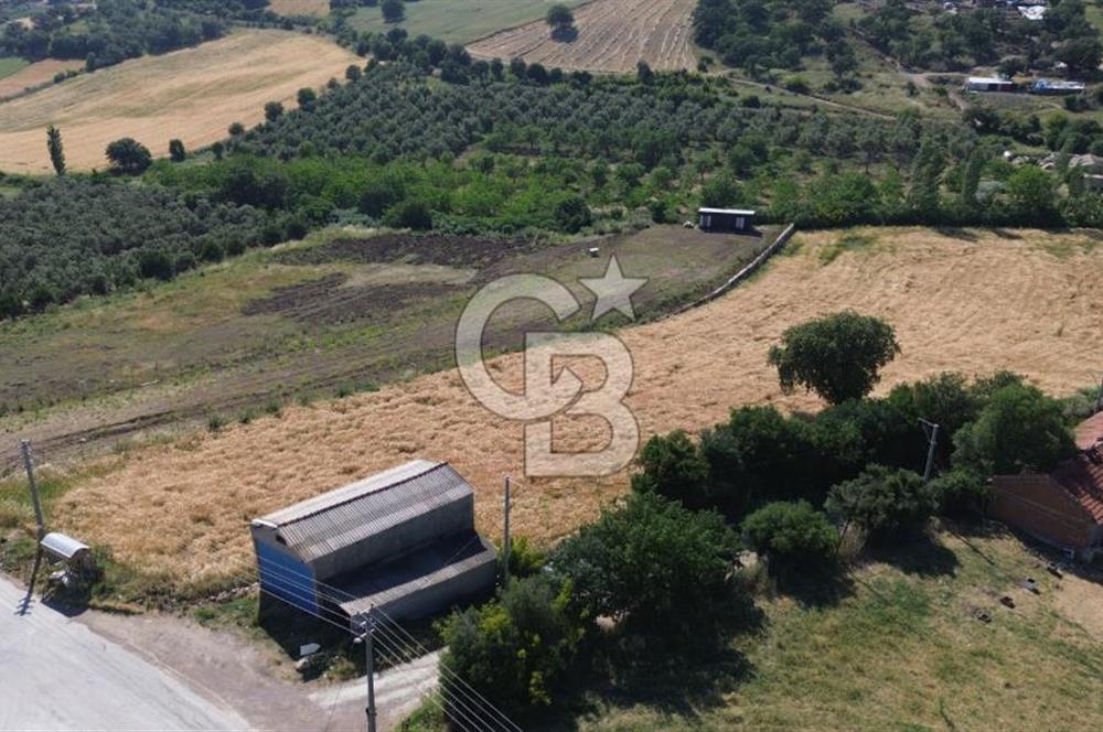 IŞIKLAR KÖYÜ ANAYOLA CEPHE SARI ALANDA SATILIK 8 DÖNÜM TARLA
