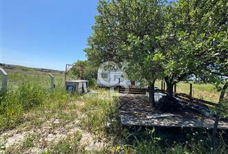 BOZCAADA ÇAYIR PLAJINA YAKIN ASFALT CEPHELİ SATILIK BAĞ - 9 - 352954