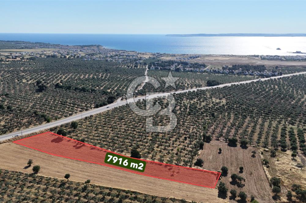 Ezine Geyikli'de Asfalt Yola Cepheli 7.916 m² Satılık Arazi
