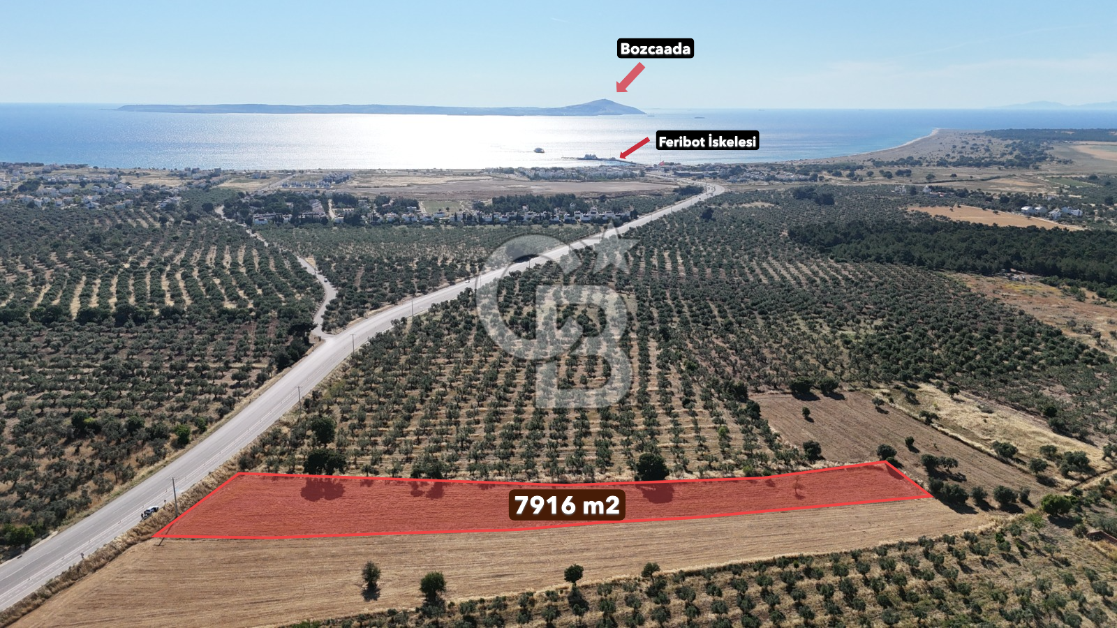 Ezine Geyikli'de Asfalt Yola Cepheli 7.916 m² Satılık Arazi