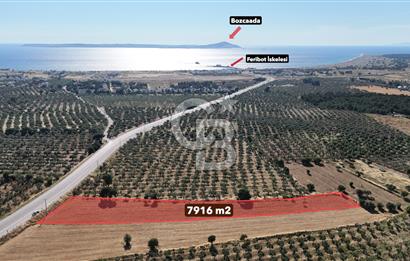 Ezine Geyikli'de Asfalt Yola Cepheli 7.916 m² Satılık Arazi