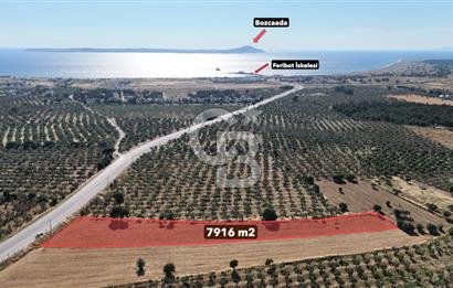 Ezine Geyikli'de Asfalt Yola Cepheli 7.916 m² Satılık Arazi