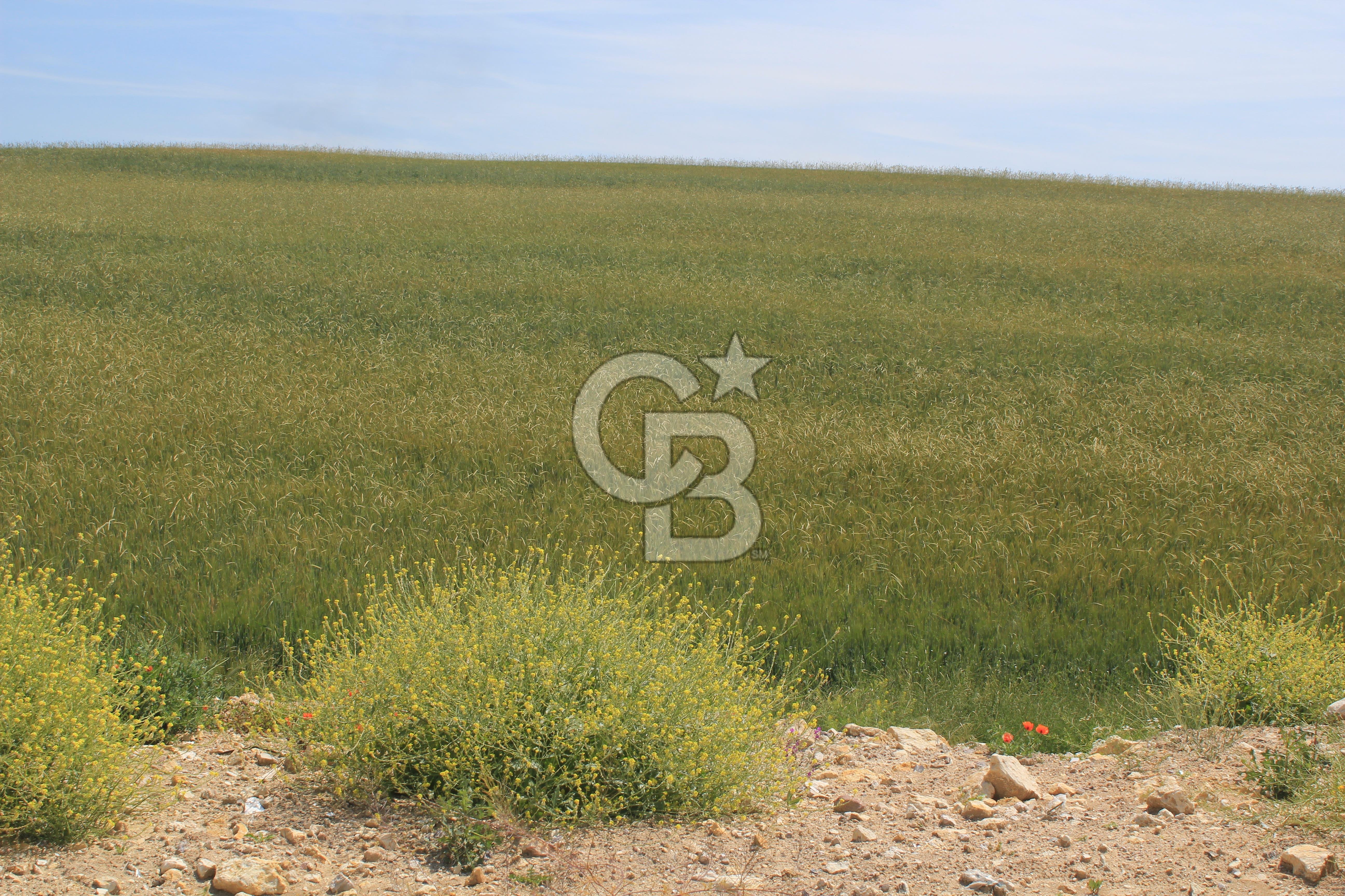 SARAY’DA SANAYİ İMARLI 115 m2 HİSSELİ SATILIK ARSA