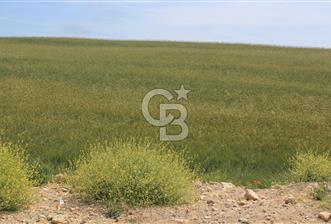 SARAY’DA SANAYİ İMARLI 115 m2 HİSSELİ SATILIK ARSA - 8 - 353782