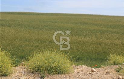 SARAY’DA SANAYİ İMARLI 115 m2 HİSSELİ SATILIK ARSA