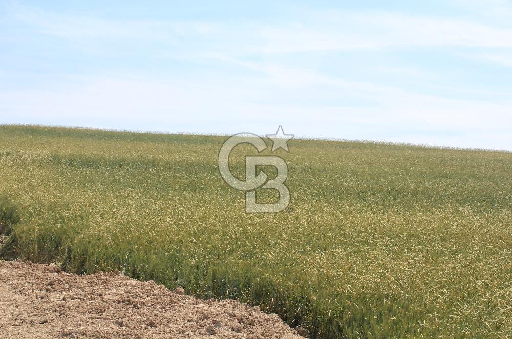 SARAY’DA SANAYİ İMARLI 115 m2 HİSSELİ SATILIK ARSA