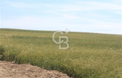 SARAY’DA SANAYİ İMARLI 115 m2 HİSSELİ SATILIK ARSA