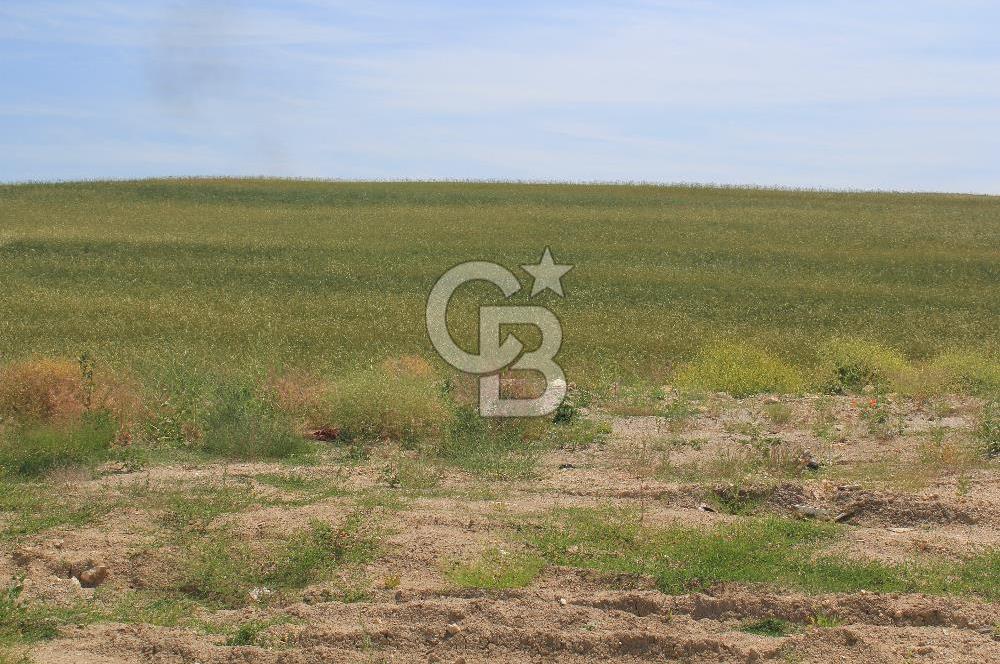 SARAY’DA MÜSTAKİL TAPULU SANAYİ İMARLI 4000 m2 SATILIK ARSA