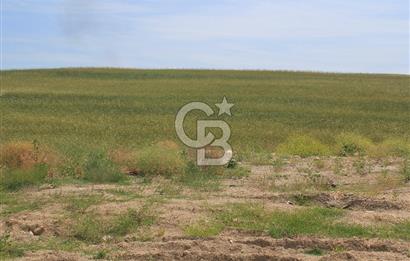 SARAY’DA MÜSTAKİL TAPULU SANAYİ İMARLI 4000 m2 SATILIK ARSA