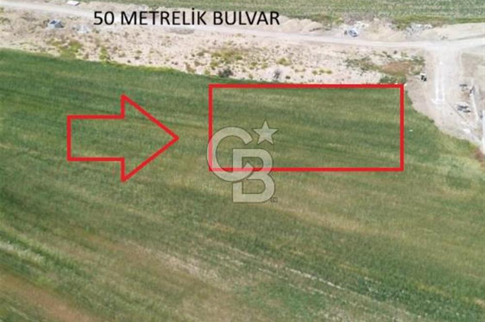 SARAY’DA MÜSTAKİL TAPULU SANAYİ İMARLI 4000 m2 SATILIK ARSA