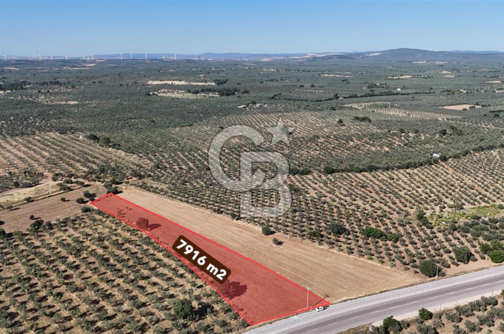 Ezine Geyikli'de Asfalt Yola Cepheli 7.916 m² Satılık Arazi