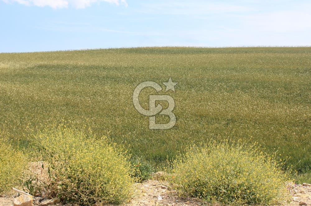 SARAY’DA MÜSTAKİL TAPULU SANAYİ İMARLI 4000 m2 SATILIK ARSA