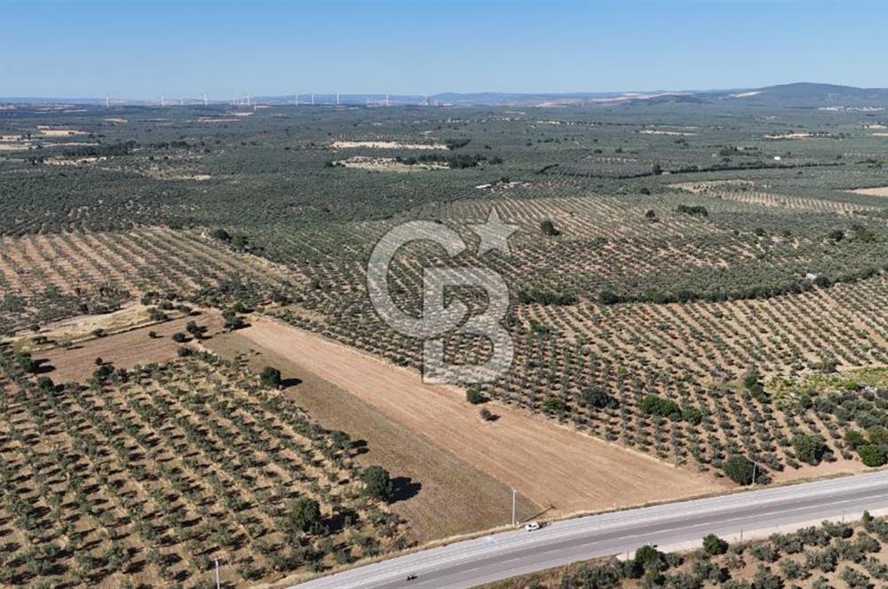 Ezine Geyikli'de Asfalt Yola Cepheli 7.916 m² Satılık Arazi