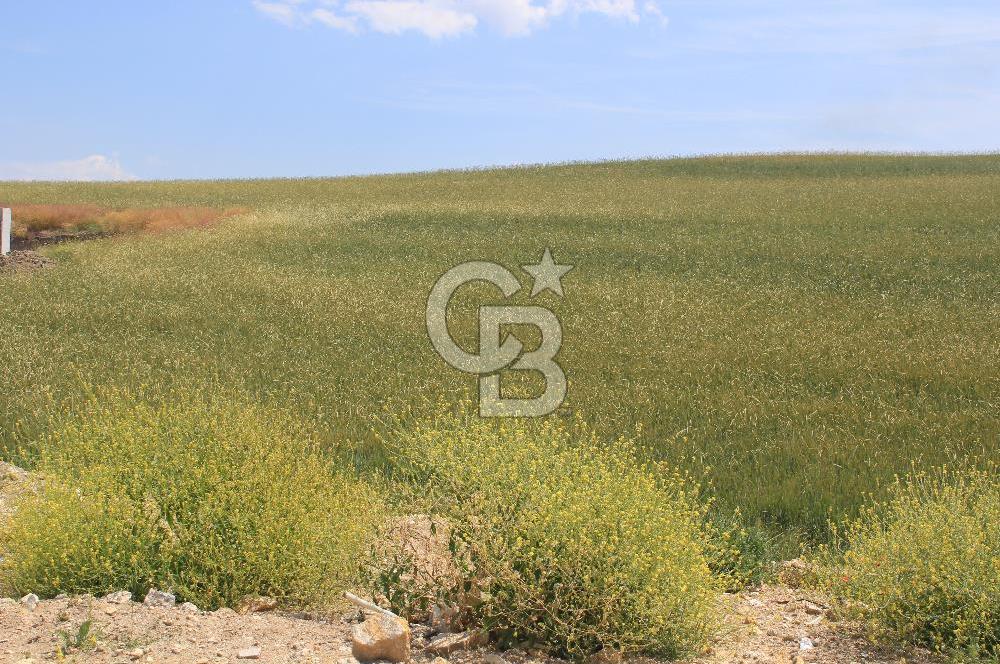 SARAY’DA MÜSTAKİL TAPULU SANAYİ İMARLI 4000 m2 SATILIK ARSA