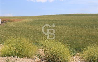 SARAY’DA MÜSTAKİL TAPULU SANAYİ İMARLI 4000 m2 SATILIK ARSA