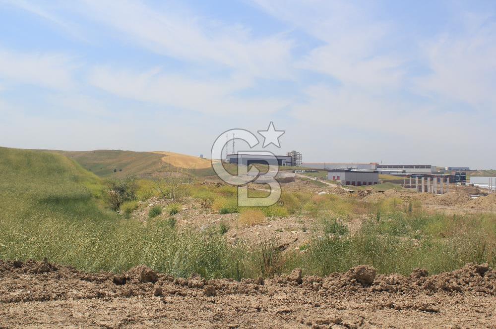SARAY’DA MÜSTAKİL TAPULU SANAYİ İMARLI 4000 m2 SATILIK ARSA