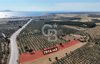 Ezine Geyikli'de Asfalt Yola Cepheli 7.916 m² Satılık Arazi