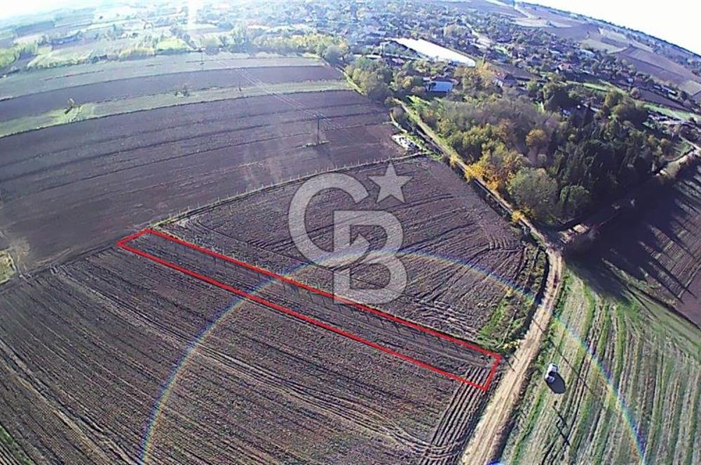 Kırklareli Merkez | Koyunbaba Köyü SATILIK 1.633 m² FIRSAT Tarla