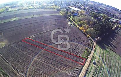 Kırklareli Merkez | Koyunbaba Köyü SATILIK 1.633 m² FIRSAT Tarla