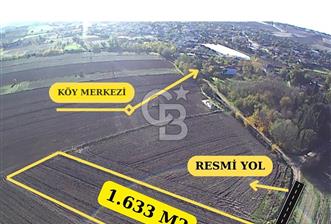 Kırklareli Merkez | Koyunbaba Köyü SATILIK 1.633 m² FIRSAT Tarla - 4 - 353799