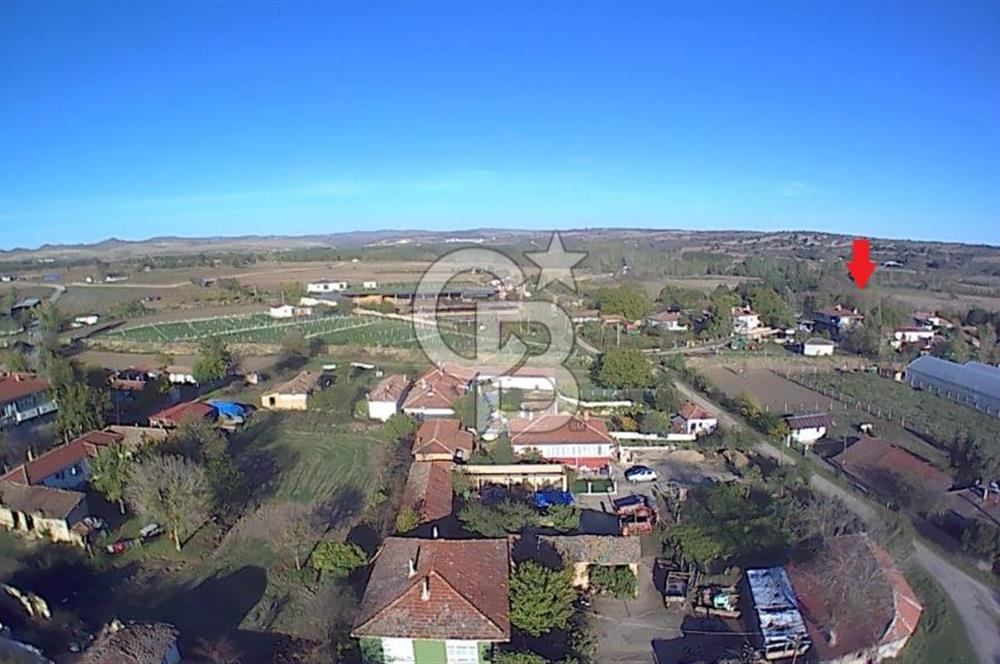 Kırklareli Merkez | Koyunbaba Köyü SATILIK 1.633 m² FIRSAT Tarla