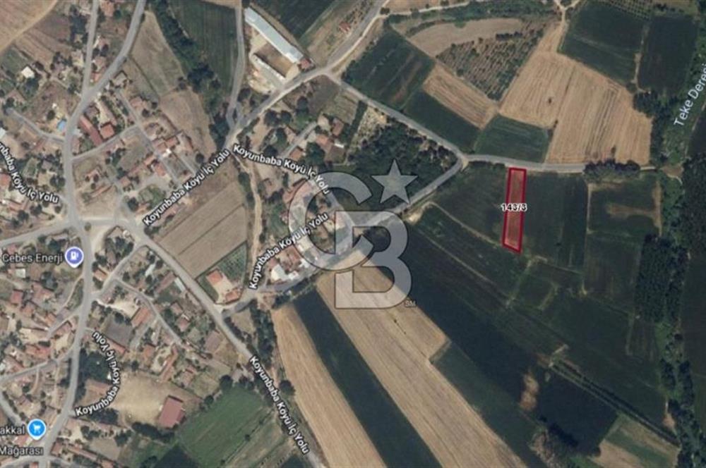Kırklareli Merkez | Koyunbaba Köyü SATILIK 1.633 m² FIRSAT Tarla