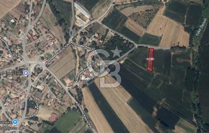 Kırklareli Merkez | Koyunbaba Köyü SATILIK 1.633 m² FIRSAT Tarla