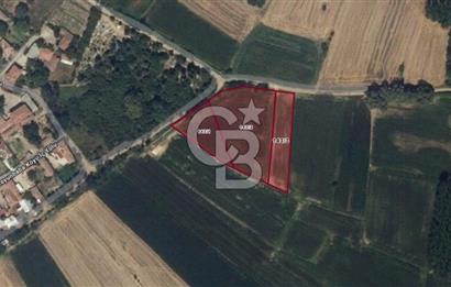 Kırklareli Merkez | Koyunbaba Köyü SATILIK 1.633 m² FIRSAT Tarla