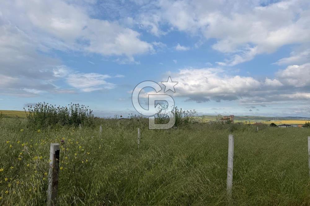 Tekirdağ Çorlu Yenice de Satılık 300m İmarlı Arsa