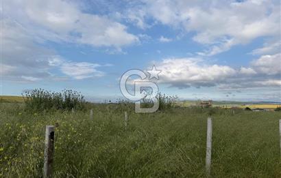 Tekirdağ Çorlu Yenice de Satılık 300m İmarlı Arsa
