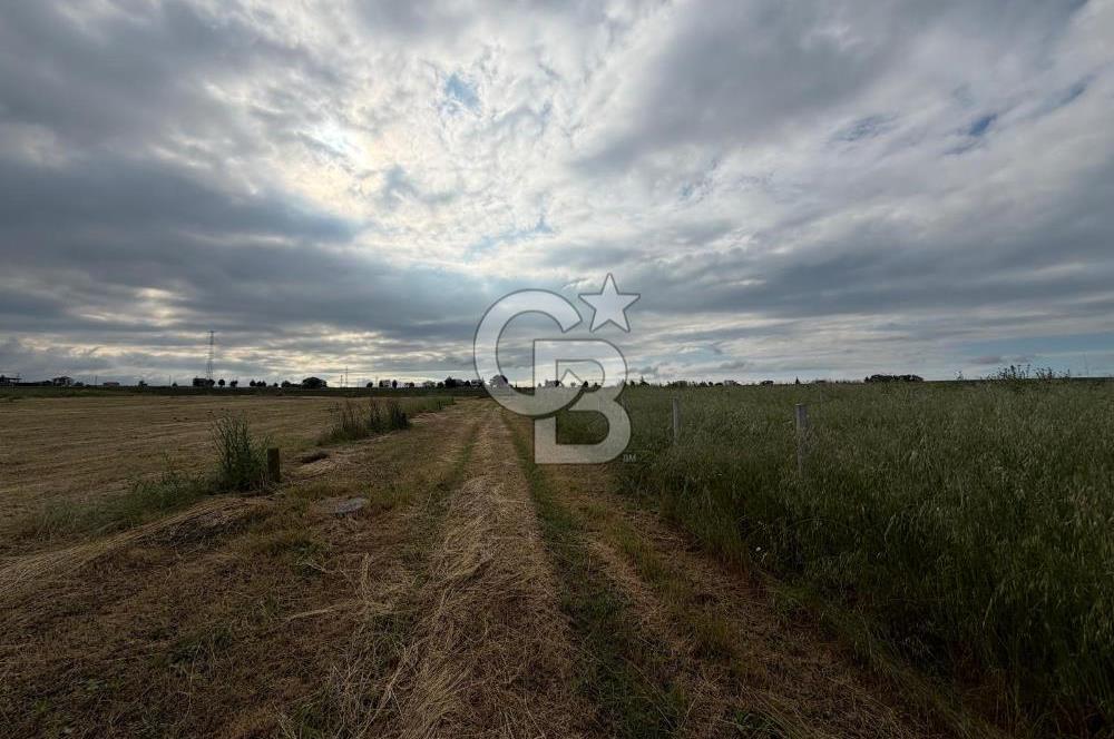 Tekirdağ Çorlu Yenice de Satılık 300m İmarlı Arsa