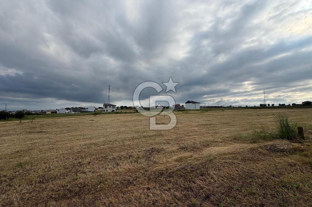 Tekirdağ Çorlu Yenice de Satılık 300m İmarlı Arsa