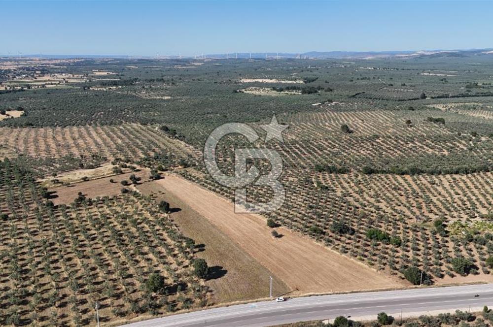 Ezine Geyikli'de Asfalt Yola Cepheli 7.916 m² Satılık Arazi