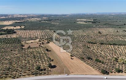 Ezine Geyikli'de Asfalt Yola Cepheli 7.916 m² Satılık Arazi