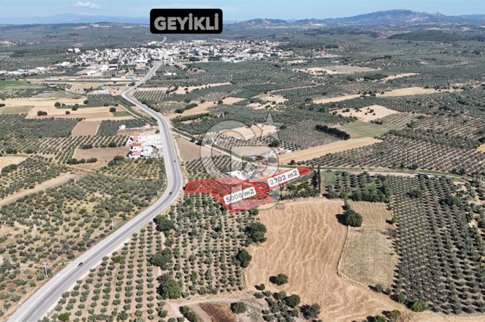 Ezine Geyikli'de 7710 m2 2 Ayrı Parsel  Satılık Zeytinlik 