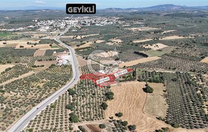 Ezine Geyikli'de 7710 m2 2 Ayrı Parsel  Satılık Zeytinlik 